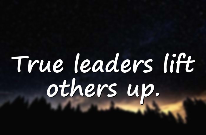 leadership quotes - 11