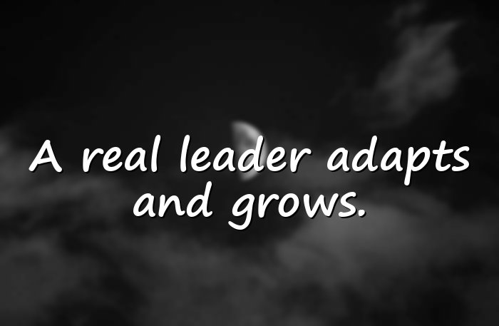 leadership quotes - 21