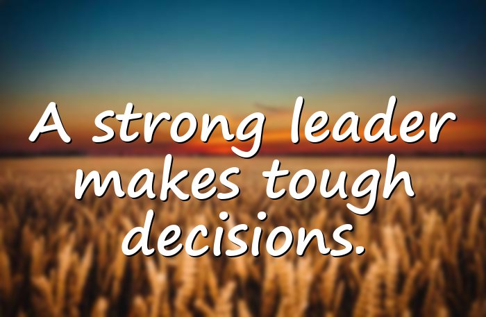 leadership quotes - 11