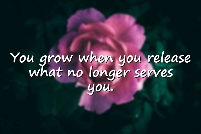 letting go quotes - 21