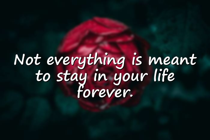 letting go quotes - 16