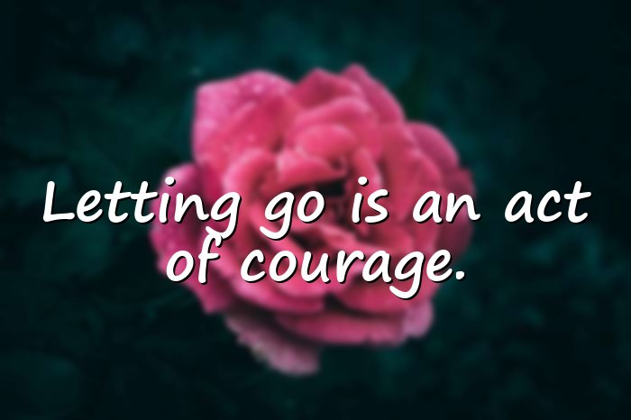 letting go quotes - 1
