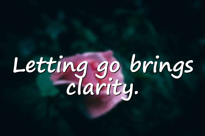 letting go quotes - 11