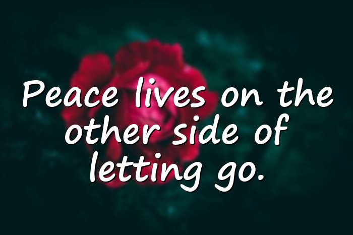 letting go quotes - 1