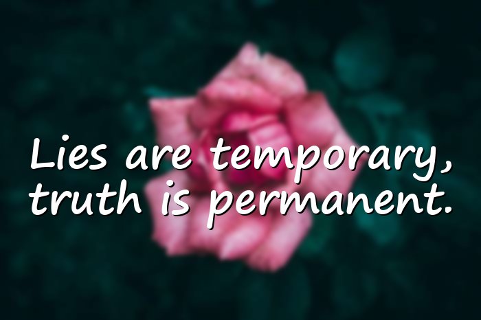 lies quotes - 21