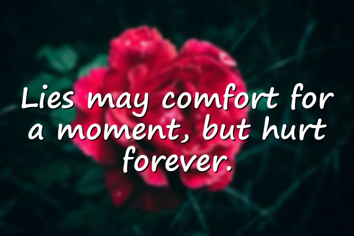 lies quotes - 16
