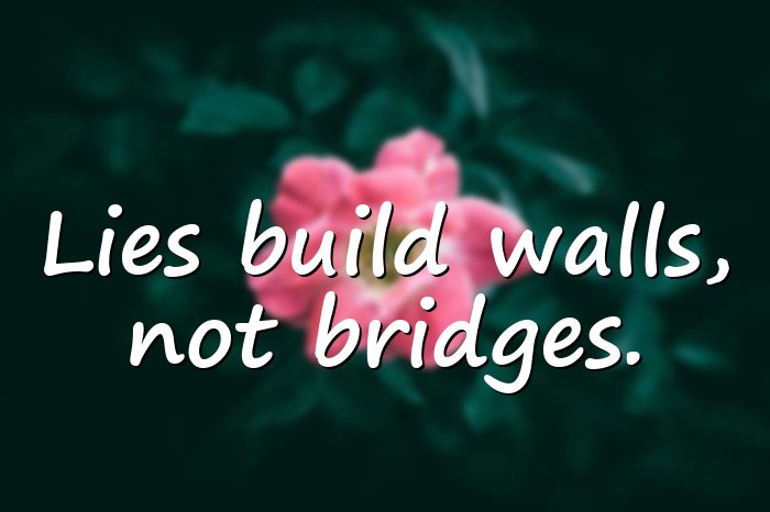 lies quotes - 11