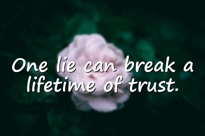 lies quotes - 6