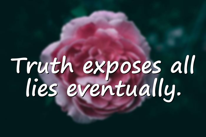lies quotes - 11