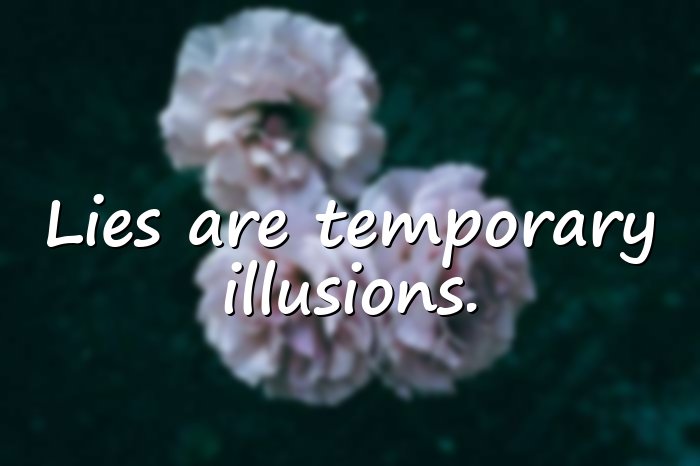 lies quotes - 6