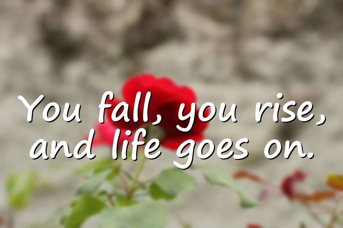 life goes on quotes - 16