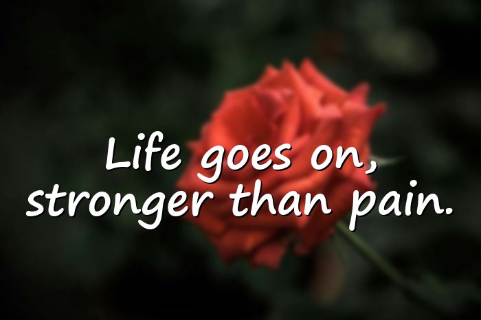 life goes on quotes - 11