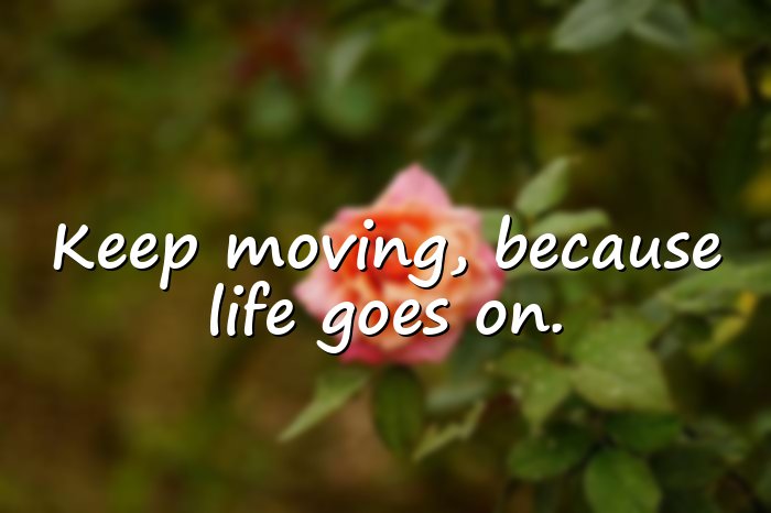 life goes on quotes - 6