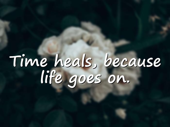 life goes on quotes - 21