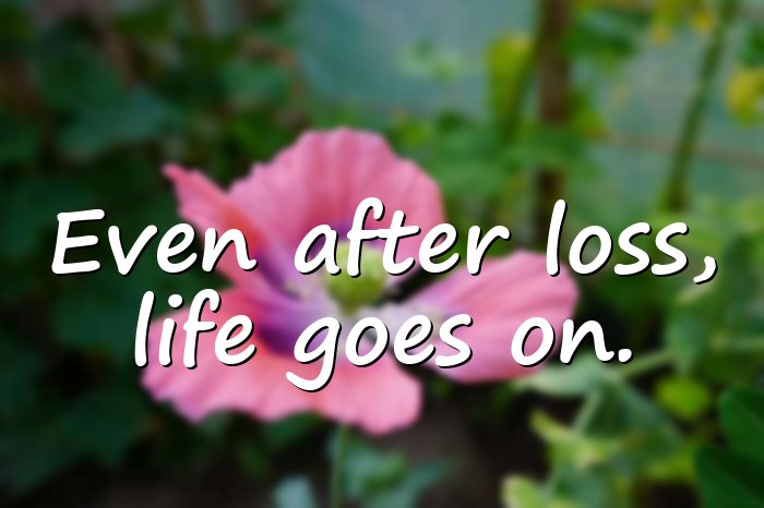 life goes on quotes - 11