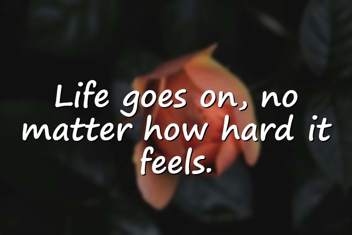 life goes on quotes - 6