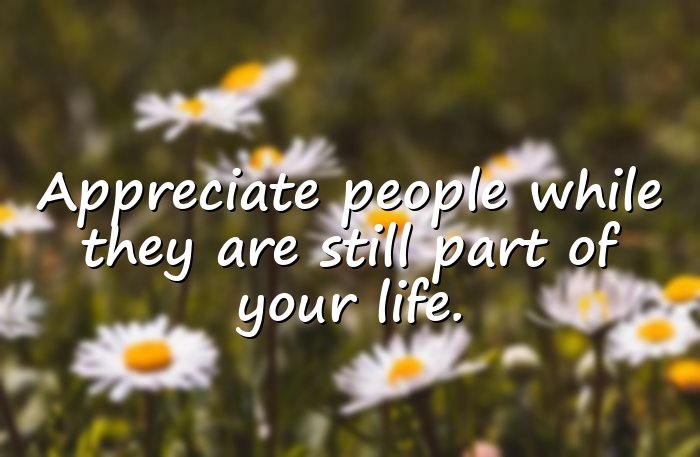 life is too short quotes - 16
