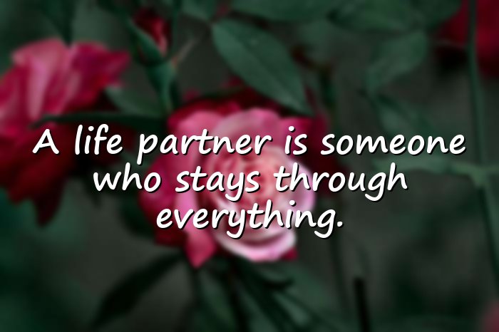 life partner quotes - 1