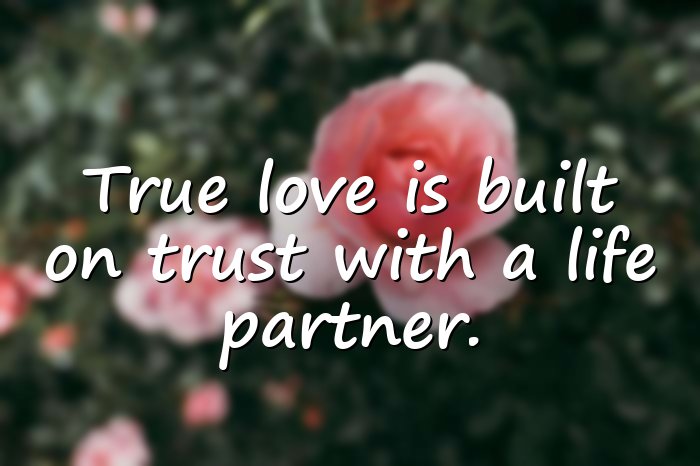life partner quotes - 21