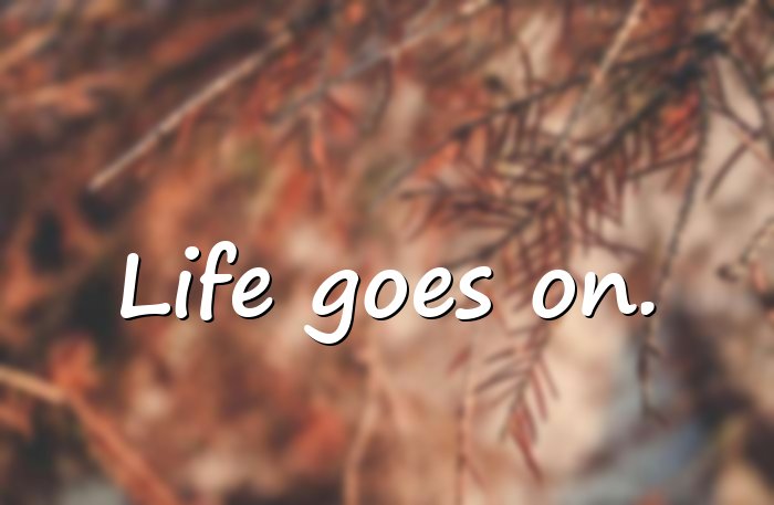 life quotes short - 21