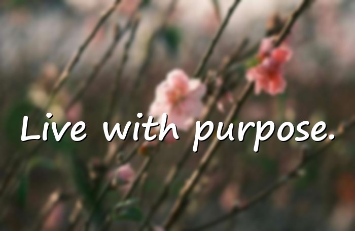 life quotes short - 16