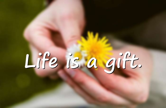 life quotes short - 11