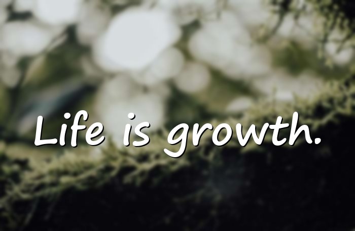 life quotes short - 6