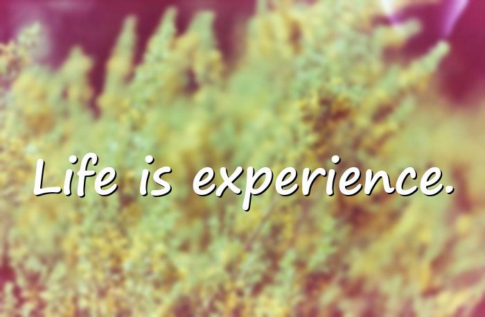 life quotes short - 1