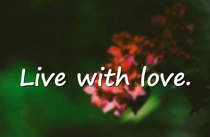life quotes short - 11