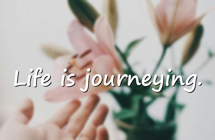 life quotes short - 6