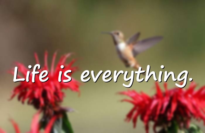 life quotes short - 1