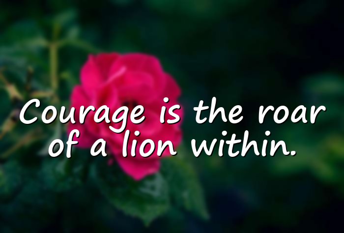 lion quotes - 21