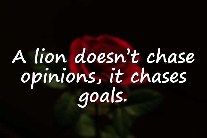 lion quotes - 16