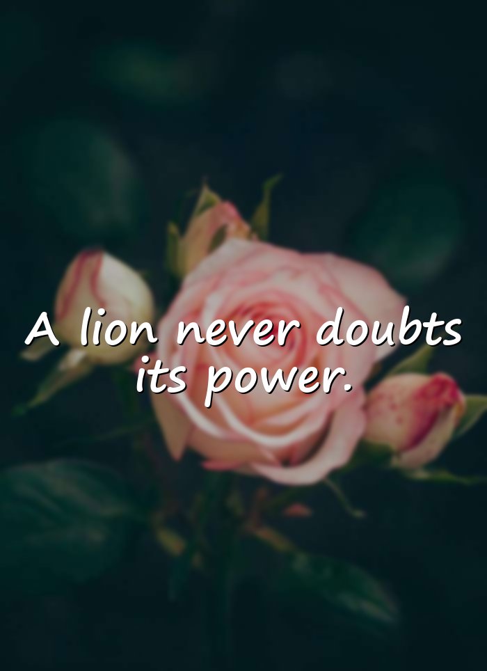 lion quotes - 6