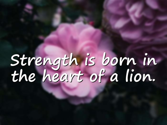 lion quotes - 6