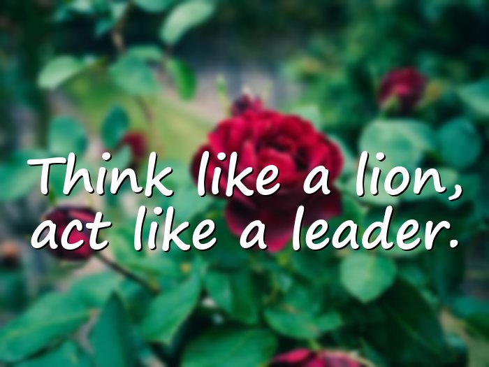 lion quotes - 1