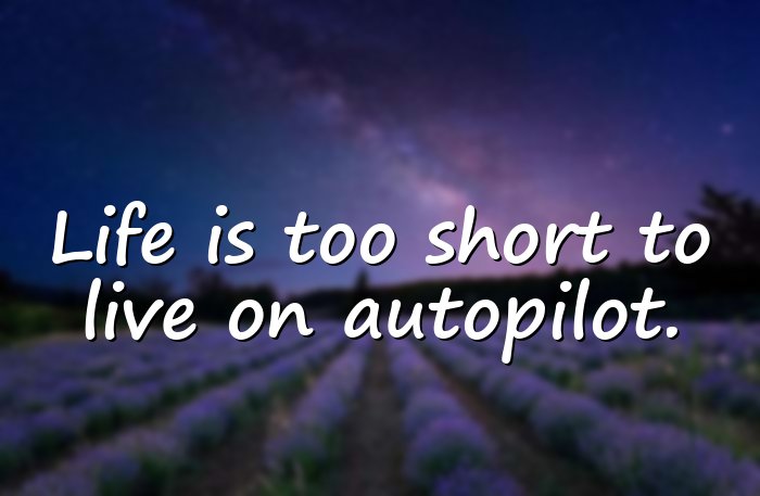 live life quotes - 21