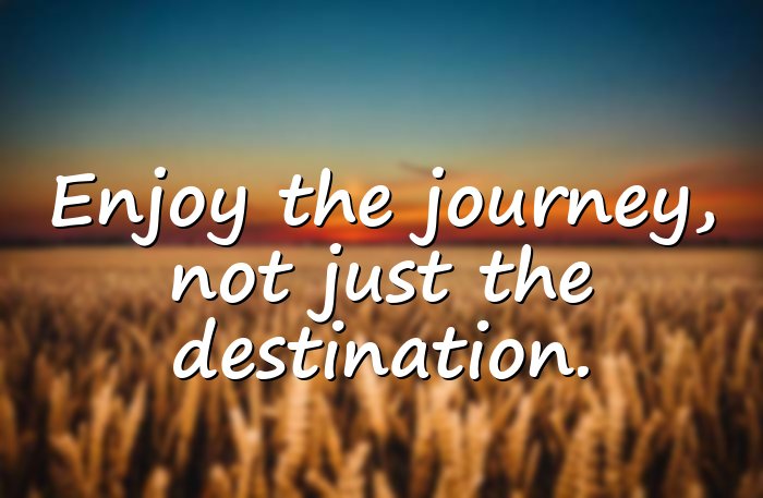 live life quotes - 16
