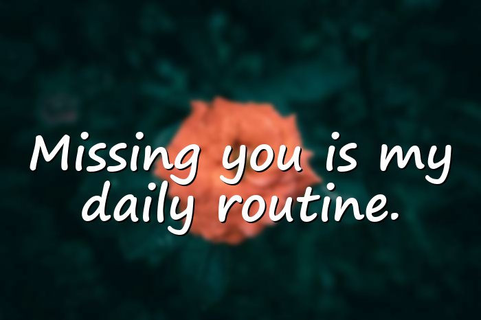 long distance relationship quotes - 21