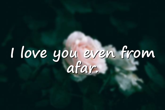 long distance relationship quotes - 6