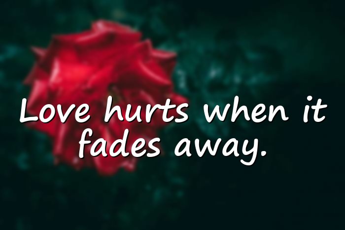 love hurts quotes - 16