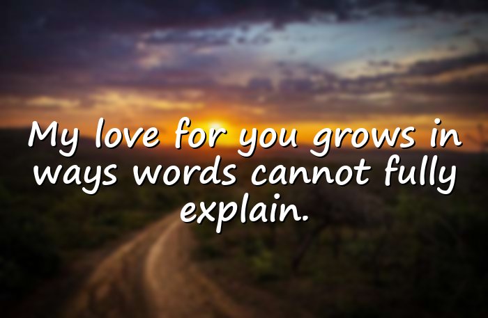 love quotes for wife - 16