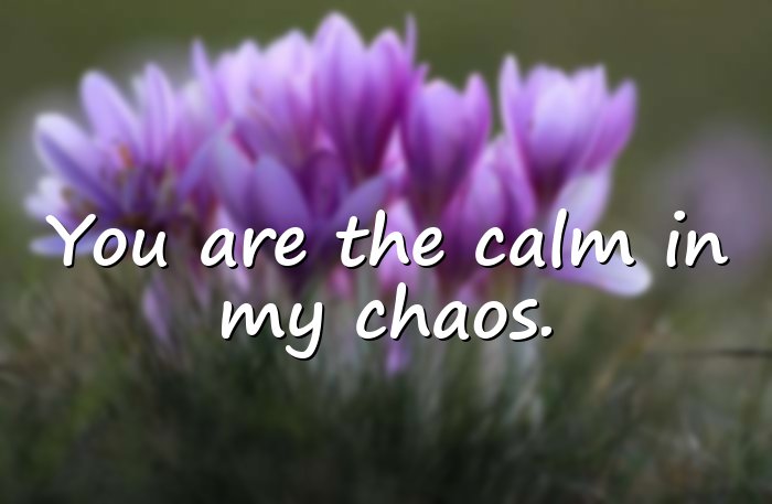 love quotes for wife - 6