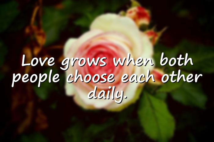 love sayings - 11