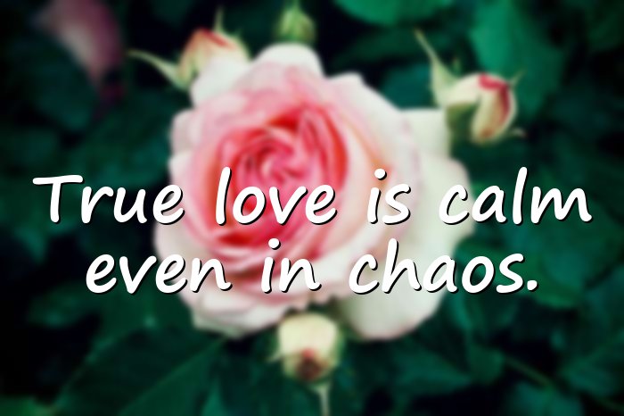 love sayings - 11