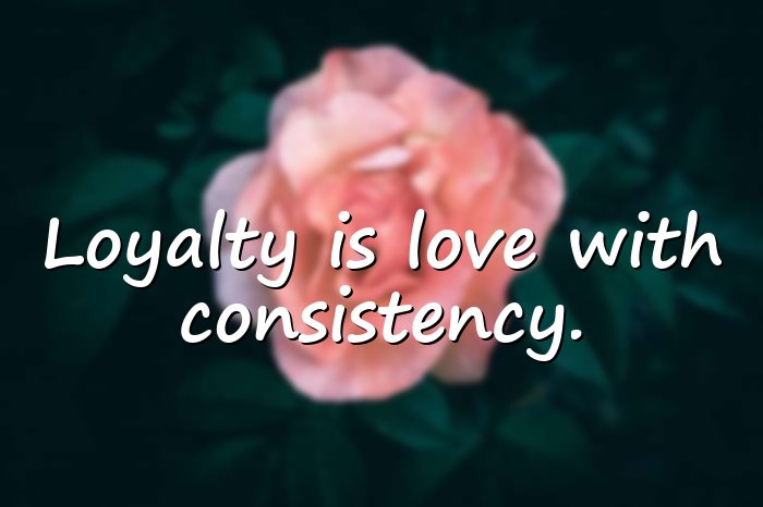 loyalty quotes - 16