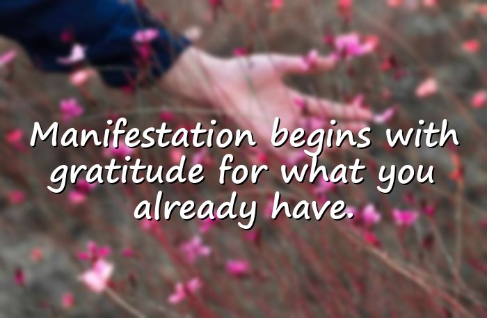 manifestation quotes - 11