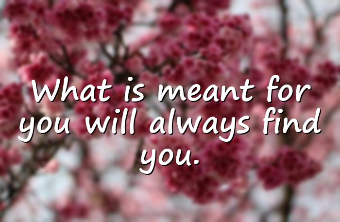 manifestation quotes - 1