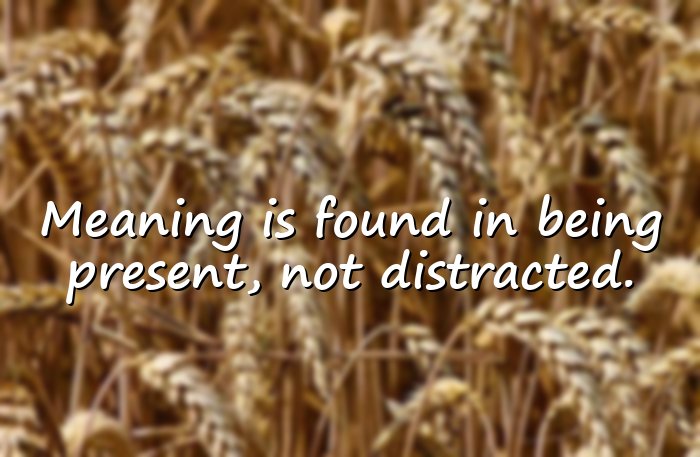 meaningful quotes - 1