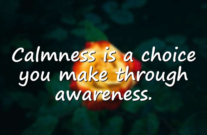 meditation quotes - 6